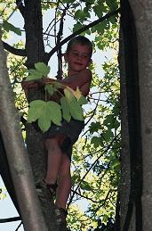 Hier klim ik in een boom op de camping in Frankrijk